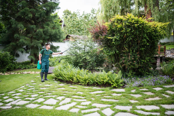 Professional Pest Control in Sellersville, PA