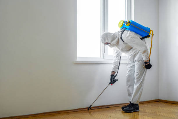 Best Pest Control Treatment  in Sellersville, PA
