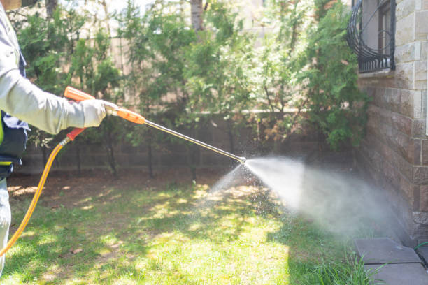 Best Local Pest Control Services  in Sellersville, PA