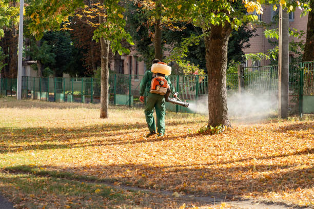 Best Insect Control  in Sellersville, PA